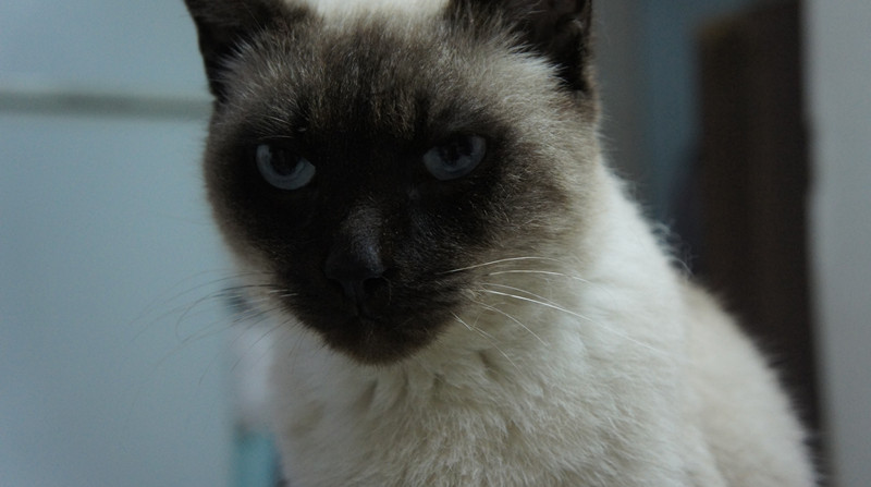DSC01359_副本.jpg