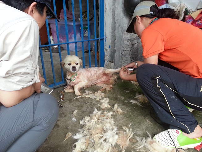 20130616_151531.jpg