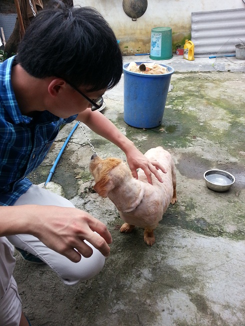 20130616_151018.jpg