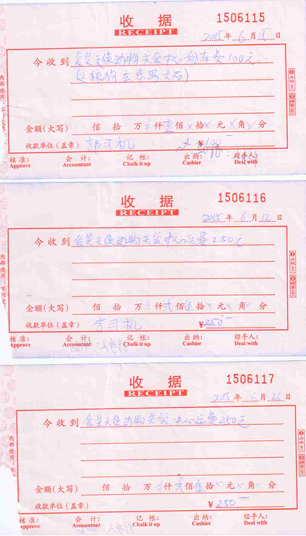 报表 011.jpg