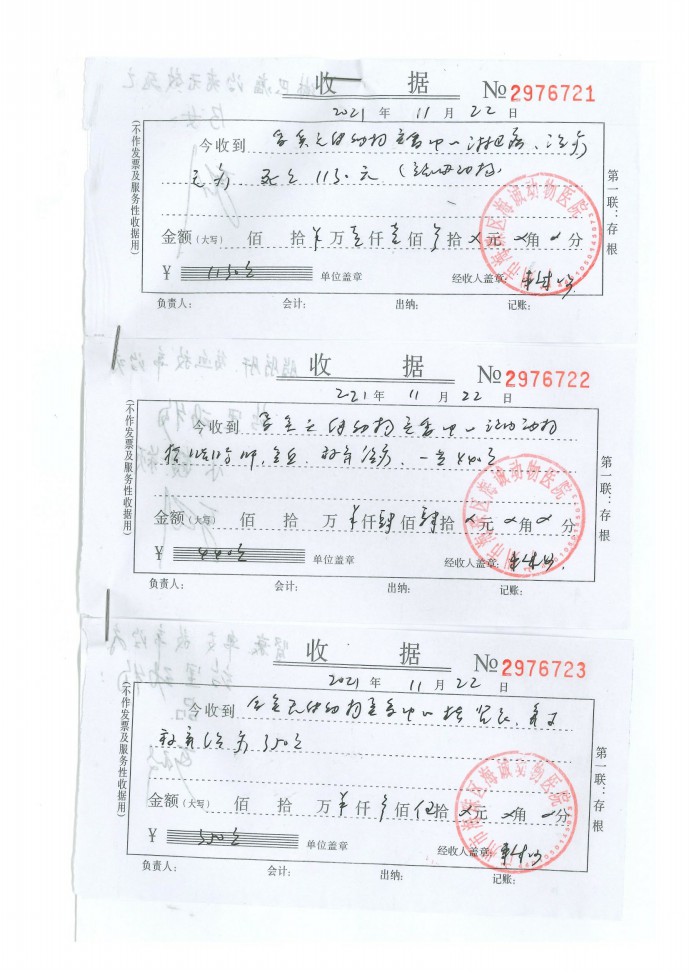 11-0011.jpg