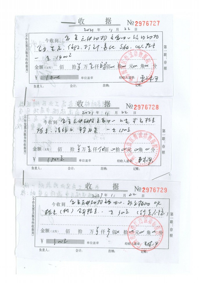 11-0013.jpg